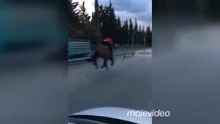 Celkom dobrá jazda až na ten stĺp!