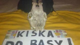 Kiska pôjde dole Megamix