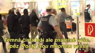 Migranti častěji využívají k migraci letadla
