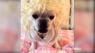 Skoro tak sexi ako Marylin Monroe