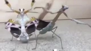 Idzem, nejdzem :D
