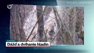 Nárast hladín riek a pokotov