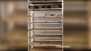 Delikátne pečivká priamo z Carrefouru