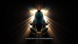 BUFO ALVARIUS trailer