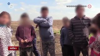 Bitka v Prahe a upaľovanie psov zaživa veďľa osady