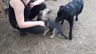 Bobo sa rád nechá česať od Rity