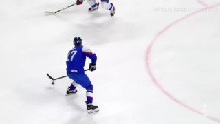 DÁVID BONDRA - GÓL - spomalené zábery