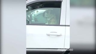 Staraj sa o seba! (USA)