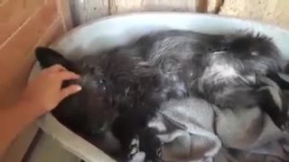 Ashley sa najradšej kúpe nasucho