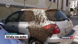 V Banskej Bystrici obsadili včely auto