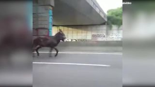 Pravý jazdný pruh je spomalený (Francúzsko)