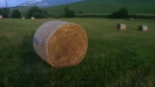 Na teba som nepískal...