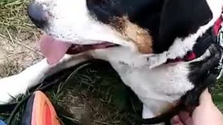 Kira mala nádor na mliečnych žľazách
