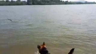 Füles sa nedal odchytiť, ale nakoniec sme získali jeho dôveru.