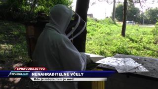 Včely