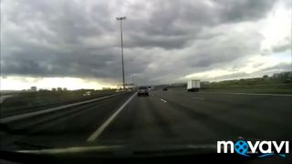 Los sa odhodlal na extrémne dobrodružstvo