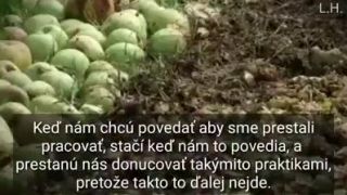 Taliansky farmár vs. Európska únia