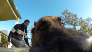Chcel by si svoju go pro kameru späť?
