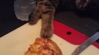 Boj o posledný kúsok pizze