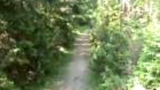 Downhill Spišská Nová Ves 2