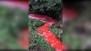 Na záhrade mu tiekol červený potok (USA)