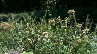 Rukoväť motýľov - Spriadač kostihojový - チョヒキツケケ
