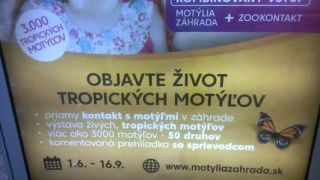 Nová atrakcia - priamy zookontakt