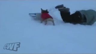 *Nečakané videá