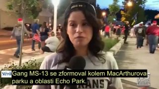 Millie Weaver z INFOWARS s příznivci a odpůrci Trumpa