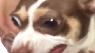 Mr.Bubz