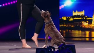 ČESKO SLOVENSKO MÁ TALENT 2018 - Xénia Polaczyková & Leo