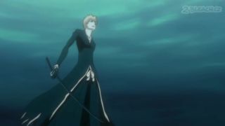 Bleach 306