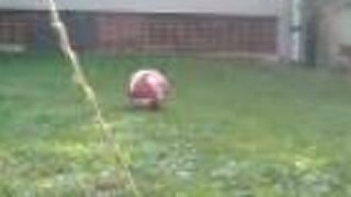 Moja strela