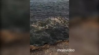 A teraz tu nemáme podberák! (Florida)