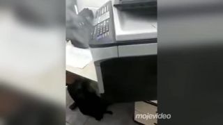 Tlačiareň a záhradný gril v jednom