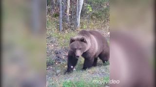 Sergej, ten maco sa na teba díva tak čudne!