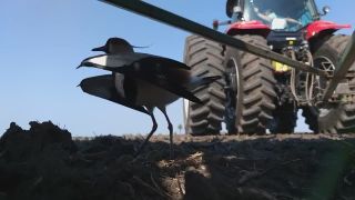 Deti si chránila vlastným telom (Argentína)