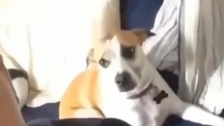 Urobíme si SELFIE?