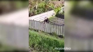 Babka a vráta