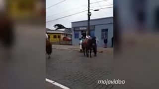 Ide ten, čo sa s koňmi zrazil