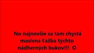 Lesy a voda sú bohatstvo, ktoré si necháme ukradnúť pár lotrami?