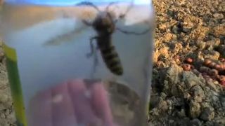 SRŠNE!!! Treba na ne vždy len slušne!