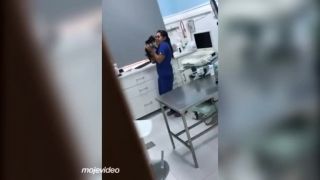 Čo sa deje s vašim zvieratkom u veterinára?