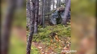 Keď les "dýcha" (Kanada)