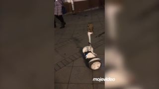 Moderná sova jazdí na segwayi (Rusko)