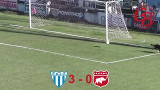 A cenu za najlepší zákrok roka získava...