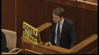 Matovic - Je to debil
