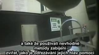 Test civilizácie (dokument od Jamesa Cromwella o vivisekcii)