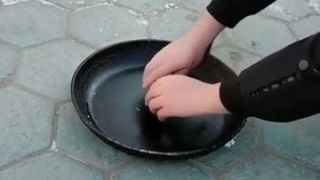 Ruské volské oko