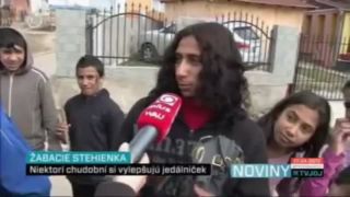 Vegata, papriká, papér a cesnak